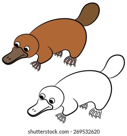 Cartoon illustration of platypus or duckbill animal on a white background. Coloring book.