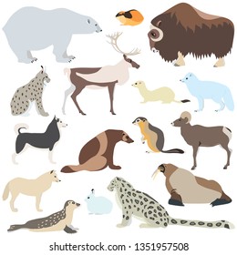 Cartoon illustration of polar animals isolated on white background, such as polar bear, arctic fox, lemming, caribou, seal, walrus etc. 