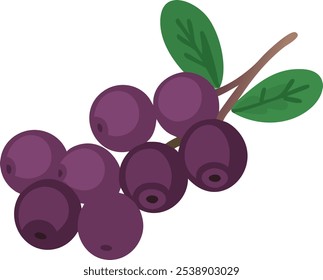 Ilustração de Desenho Animado de Purple Berry Cluster, ilustração Vetor de um aglomerado de bagas roxas com duas folhas verdes em um estilo simples, cartoon.