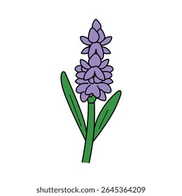 A cartoon illustration of a purple hyacinth flower with a green stem and a black outline, isolated against a white background. Simple botanical art.