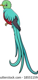 Cartoon illustration of quetzal bird animal character