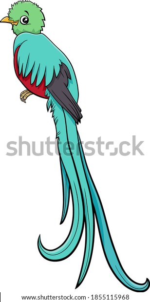 Cartoon Illustration Quetzal Bird Animal Character Stock Vector ...