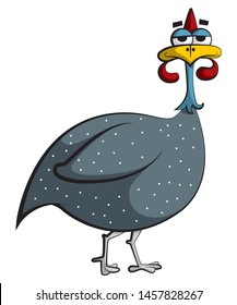 Cartoon illustration of a quirky, goofy, cute guinea fowl bird with white dots looking at you.