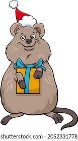 Cartoon illustration of quokka animal character with present on Christmas time
