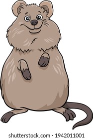 Cartoon illustration of quokka comic animal character