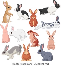Cartoon illustration of rabbit collection set