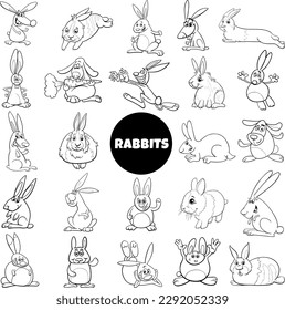 Cartoon illustration of rabbits animal characters big set