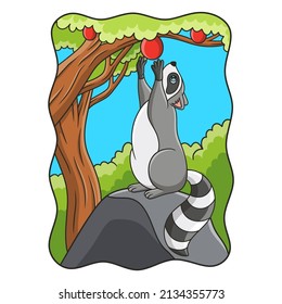 cartoon illustration raccoon is standing on a big rock in the middle of the forest and picking apples on the tree