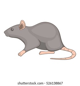 Cartoon illustration of rat vector icon for web