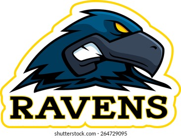 A cartoon illustration of a raven mascot head.