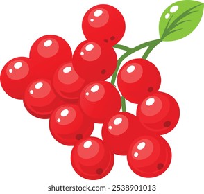 Cartoon Illustration of Red Currant Branch, Vector illustration of a red currant branch with bright red berries and green leaves in a simple, cartoon style.