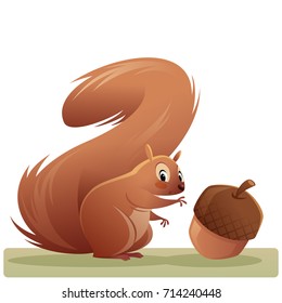 Cartoon illustration of a red squirel looking at us while trying to reach an acorn vector illustration isolated in white background
