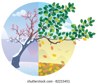 Cartoon illustration representing the cycle of the four seasons.