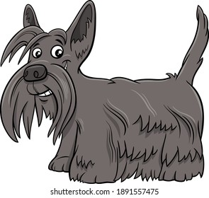 Cartoon illustration of Scottish Terrier purebred dog animal character