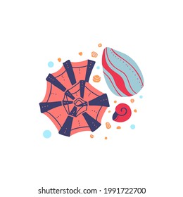 Cartoon illustration of seashells with sand and bubbles on a white background. Flat drawing ocean inhabitants with boho pattern. Vector molluscs, shells and snails with decoration