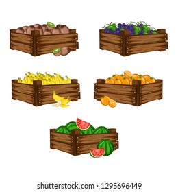 Cartoon Illustration Set of 5 Wooden Boxes with Different Fruits. Fruits in Big Containers Vector Isolated on White Background. Kiwi Fruit, Grapes, Banana, Orange, Watermelon