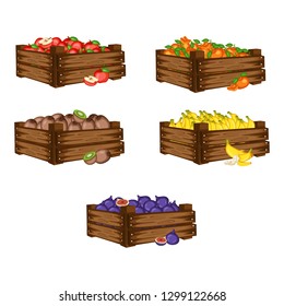 Cartoon Illustration Set of 5 Wooden Boxes with Different Fruits. Fruits in Big Containers Vector Isolated on White Background. Kiwi Fruit, Mandarin, Banana, Apple, Fig