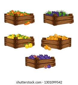 Cartoon Illustration Set of 5 Wooden Boxes with Different Fruits. Fruits in Big Containers Vector Isolated on White Background. Orange, Grapes, Mandarin, Pineapple, Fig