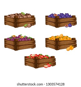 Cartoon Illustration Set of 5 Wooden Boxes with Different Fruits. Fruits in Big Containers Vector Isolated on White Background. Kiwi Fruit, Fig, Orange, Apple, Plum