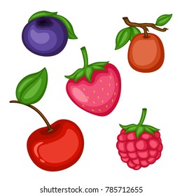 Cartoon Illustration Set of Different  Berries on White Background