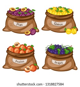 Cartoon Illustration Set of Four Bags with Different Fruits. Fruits in Big Brown Sacks Vector Isolated on White Background.  Plum, Quince, Peach, Grapes