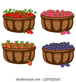 Cartoon Illustration Set of Four Baskets with Different Berries. Berries in Big Brown Containers Vectors Isolated on White Background. Cherry, Strawberry, Ximenia, Huckleberry
