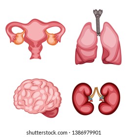 Cartoon Illustration Set of Human Internal Organs. Vector Illustration of a Brain, Lungs, Ovary and Kidney Isolated on White Background