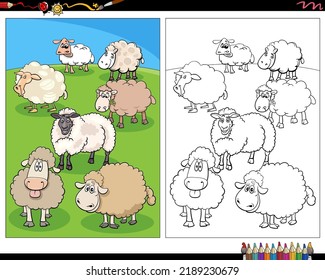 Cartoon illustration of sheep farm animal characters in the meadow coloring page