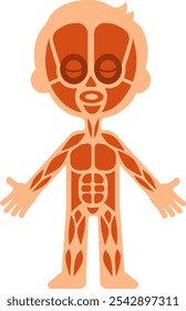 Cartoon illustration showing the muscular system of a child, useful for educational purposes, explaining human anatomy in a simple and engaging way