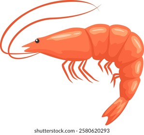 Cartoon illustration of a single orange cooked shrimp with long antennae, isolated on a white background, representing seafood, healthy eating, and marine life