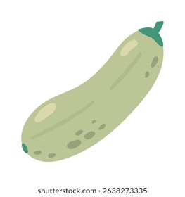 Cartoon illustration of a single zucchini with green stem laying on a white background, representing healthy eating, veganism, and farm to table concepts
