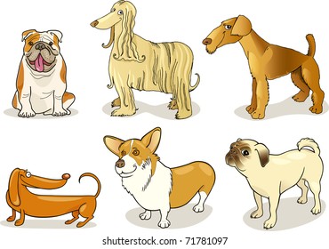 cartoon illustration of six purebred dogs