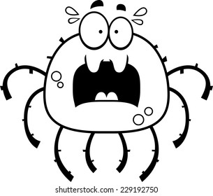 A cartoon illustration of a spider looking scared.