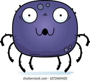 A cartoon illustration of a spider looking surprised.
