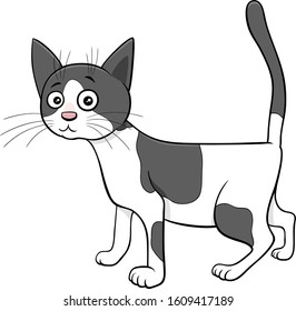 Cartoon Illustration of Spotted Cat or Kitten Comic Animal Character