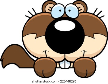 A cartoon illustration of a squirrel peeking over an object.