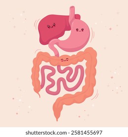 cartoon illustration of stomach body anatomy digestion gastric gut intestine liver  system