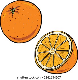 Cartoon Illustration Style Orange Fruit Cut Slice