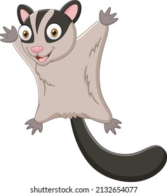 Cartoon illustration of a Sugar glider