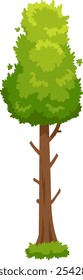 Cartoon illustration of a tall, lush green tree with a sturdy brown trunk and branches, set against a clean white background, creating a simple yet vibrant image