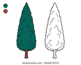 Cartoon illustration of a tall, slender coniferous tree, shown both colored in teal and as an outline for coloring. Ideal for children's educational materials or nature themes.