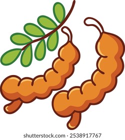 Cartoon Illustration of Tamarind Pods with Leaves, Vector illustration of tamarind pods with green leaves, depicted in a simple, cartoon style, ideal for tropical or culinary themes.