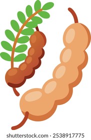 Cartoon Illustration of Tamarind Pods with Leaves, Vector illustration of tamarind pods with green leaves, depicted in a simple, cartoon style, ideal for tropical or culinary themes.