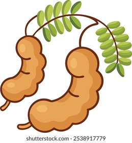 Cartoon Illustration of Tamarind Pods with Leaves, Vector illustration of tamarind pods with green leaves, depicted in a simple, cartoon style, ideal for tropical or culinary themes.