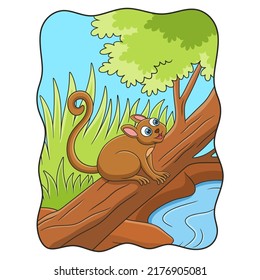 cartoon illustration tarsiers relaxing on a fallen tree trunk by the river to enjoy the beauty of the forest