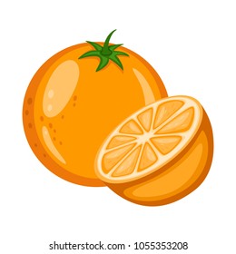 Cartoon Illustration of a Tasty Fruit. Vector and Slice of  Isolated on a White Background