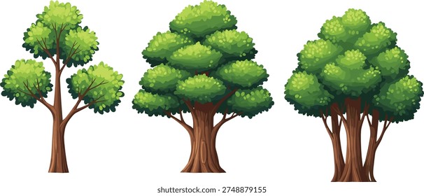 Cartoon illustration of three trees with different trunks and foliage density, representing environmental artwork, botanical education, nature design, and landscape inspiration