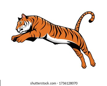 100,000 Tiger mascot Vector Images