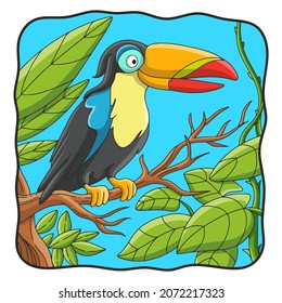 cartoon illustration toucan bird perched on a tree