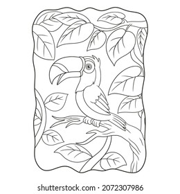 cartoon illustration toucan bird perched on a tall tree trunk book or page for kids black and white